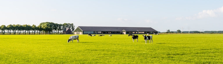 Agrarische sector